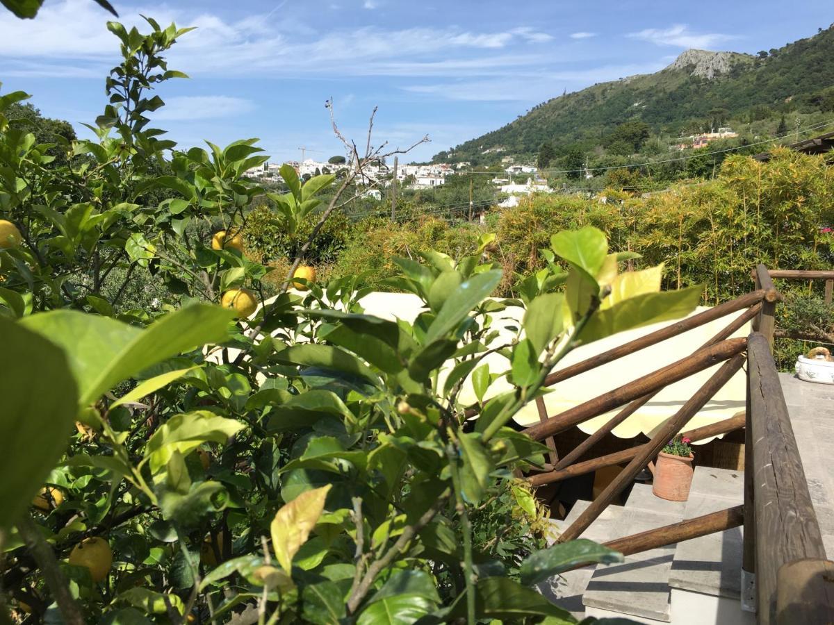 Guest house Relais Anna